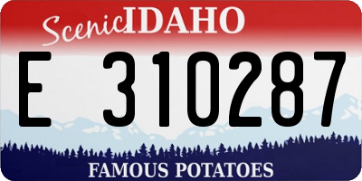 ID license plate E310287