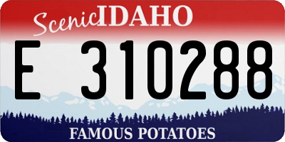 ID license plate E310288