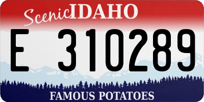 ID license plate E310289