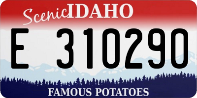 ID license plate E310290