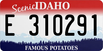 ID license plate E310291