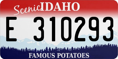 ID license plate E310293