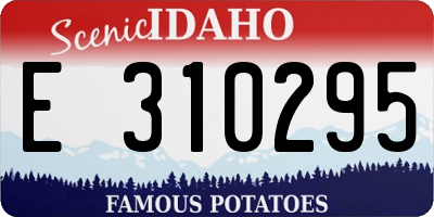 ID license plate E310295