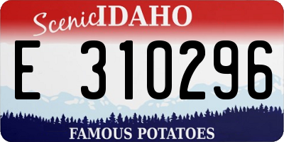 ID license plate E310296