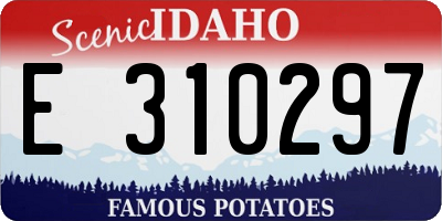 ID license plate E310297