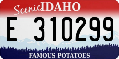 ID license plate E310299