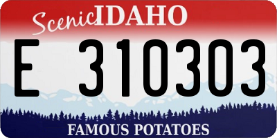 ID license plate E310303