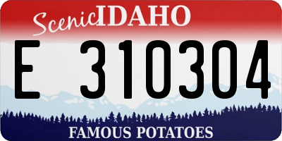 ID license plate E310304