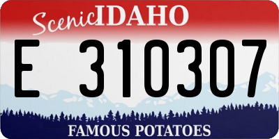 ID license plate E310307