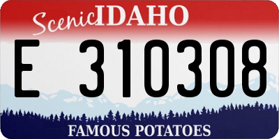 ID license plate E310308