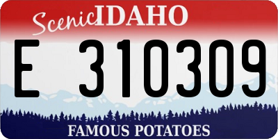 ID license plate E310309