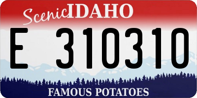 ID license plate E310310