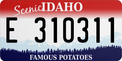 ID license plate E310311