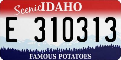 ID license plate E310313