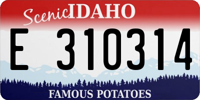 ID license plate E310314