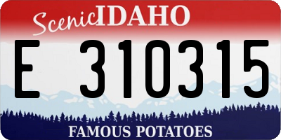 ID license plate E310315