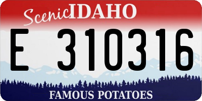 ID license plate E310316