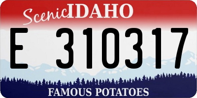 ID license plate E310317