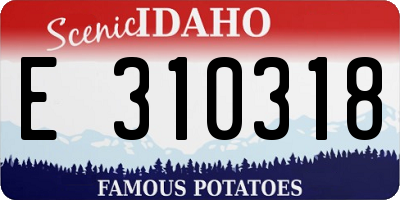 ID license plate E310318