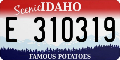 ID license plate E310319