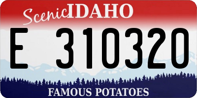 ID license plate E310320