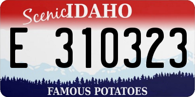 ID license plate E310323