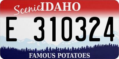 ID license plate E310324