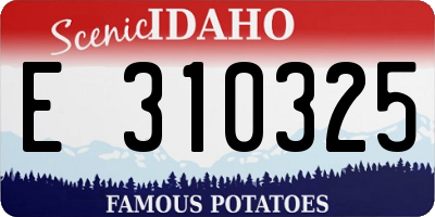 ID license plate E310325