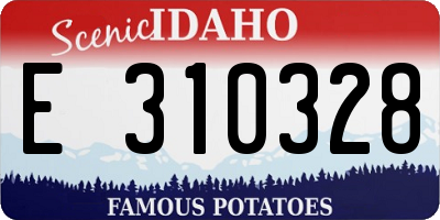 ID license plate E310328