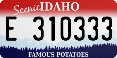 ID license plate E310333