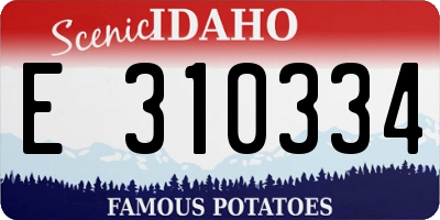 ID license plate E310334