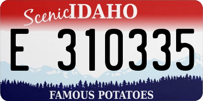 ID license plate E310335
