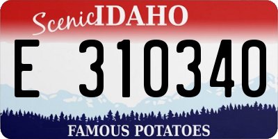 ID license plate E310340