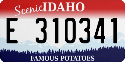 ID license plate E310341