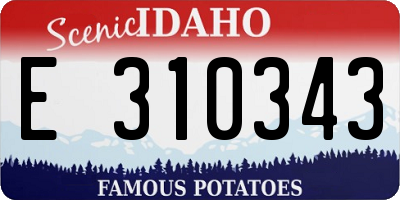 ID license plate E310343