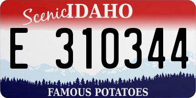 ID license plate E310344