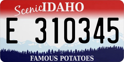 ID license plate E310345