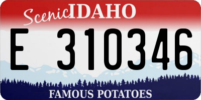 ID license plate E310346