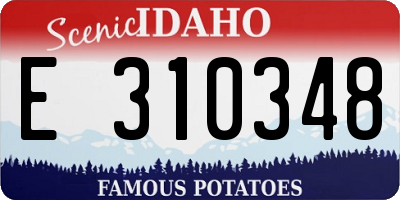ID license plate E310348