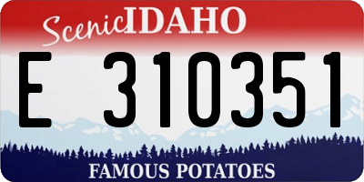 ID license plate E310351