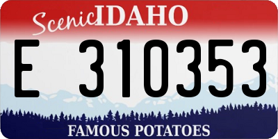 ID license plate E310353