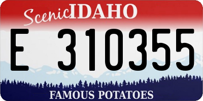 ID license plate E310355