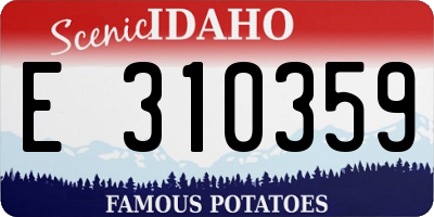 ID license plate E310359