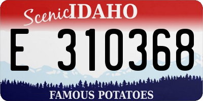 ID license plate E310368