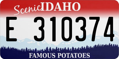 ID license plate E310374
