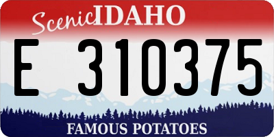 ID license plate E310375
