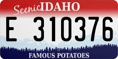 ID license plate E310376