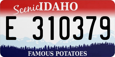 ID license plate E310379