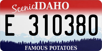 ID license plate E310380