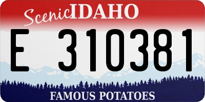 ID license plate E310381